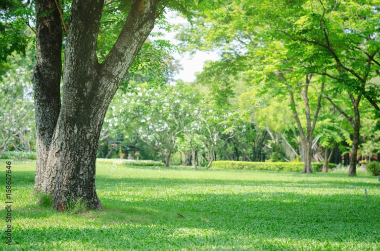 Dairy Farm Nature Park