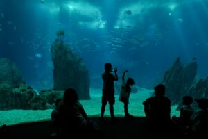 Singapore Oceanarium