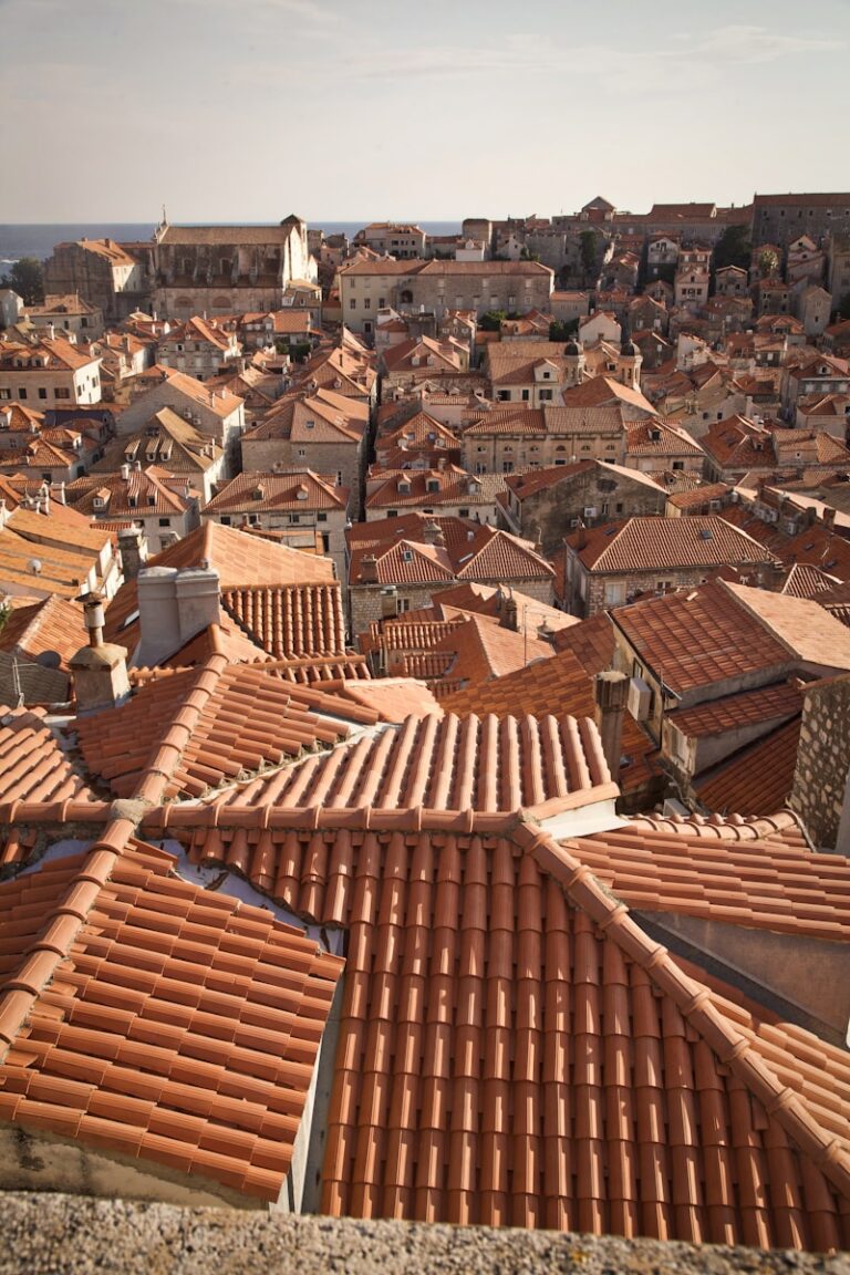 Clay Roof Tile