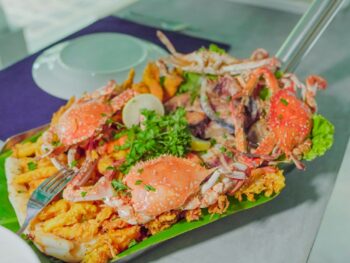 {{brizy_dc_image_alt entityId=